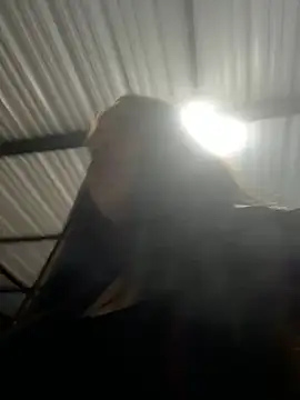 aliensexy online show from 25, 12, 2024