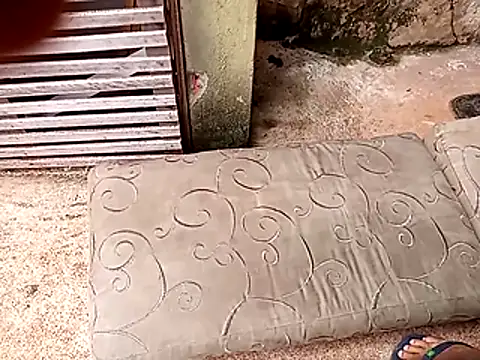 Snapshot of wel9238 chatting on 25, 2, 2026 wel9238 online show from 25, 2, 2026