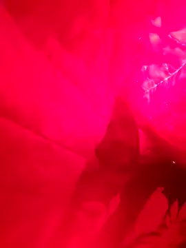 Lord-Sloppy online show from 7, 12, 2024