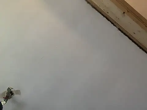 Brando2585 online show from 7, 3, 2026