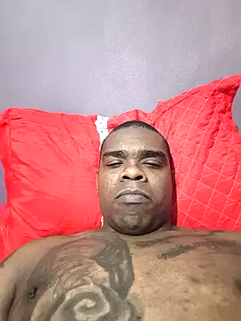 negaopicaoo online show from 24, 11, 2025