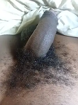 Snapshot of Mr_LowHanger chatting on 2, 11, 2025 Mr LowHanger online show from 2, 11, 2025