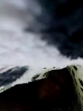 Snapshot of LemonyArcus chatting on 24, 11, 2025 LemonyArcus online show from 24, 11, 2025