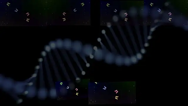 OwenBluee online show from 29, 1, 2025