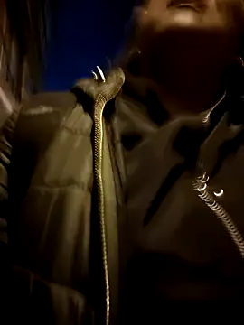 kitty 84 online show from 6, 2, 2025