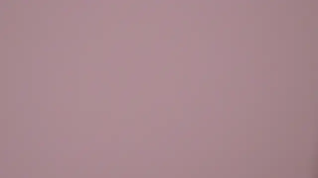 RissaRheys online show from 1, 3, 2025