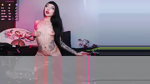 catipetite online show from 8, 2, 2025