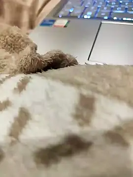 Bemgalado online show from 3, 1, 2025