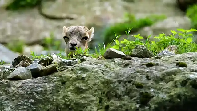 Snapshot of streamy_test11 chatting on 3, 2, 2025 streamy test11 online show from 3, 2, 2025