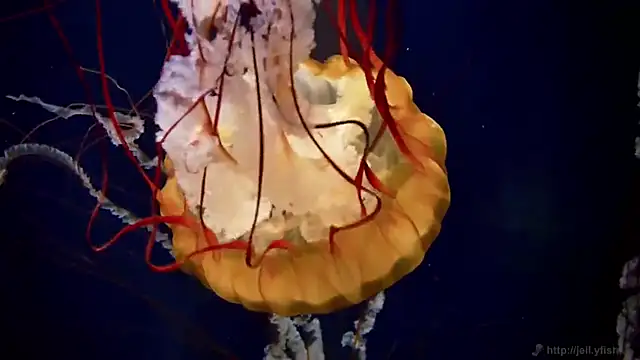 Snapshot of streamy_test11 chatting on 26, 2, 2026 streamy test11 online show from 26, 2, 2026