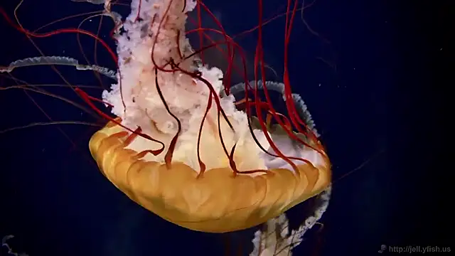 Snapshot of streamy_test11 chatting on 27, 2, 2026 streamy test11 online show from 27, 2, 2026