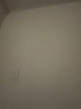 Amber Rush  online show from 3, 2, 2026