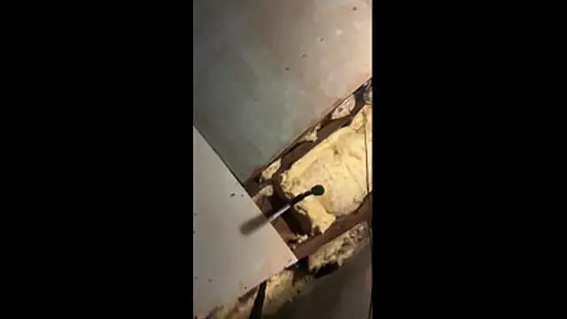 Snapshot of Manwhorxxlcock chatting on 3, 3, 2026 Manwhorxxlcock online show from 3, 3, 2026