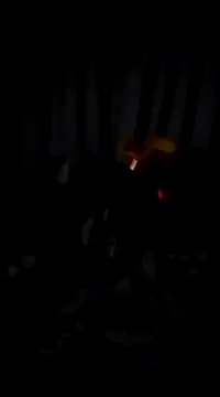 bogbosdick online show from 22, 2, 2025