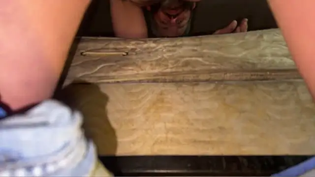 pipeload1275 online show from 19, 1, 2026