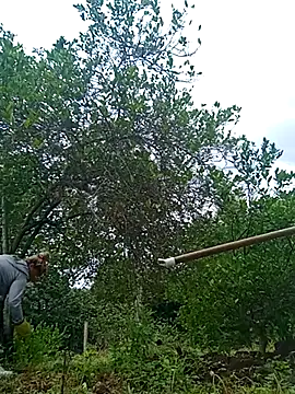 natally ross21 online show from 21, 2, 2025