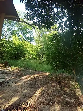 natally ross21 online show from 5, 2, 2026