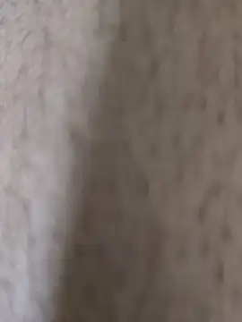 KingCobraClassy online show from 10, 11, 2025