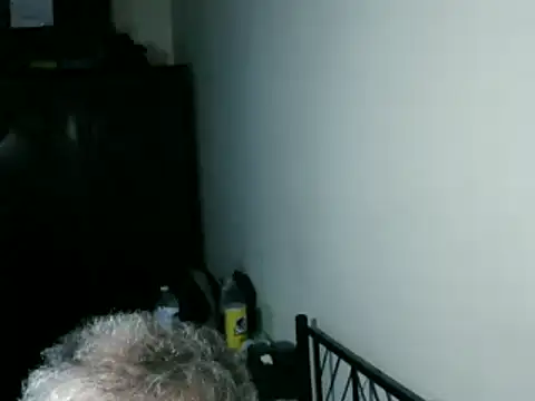 100Tauros online show from 8, 3, 2026