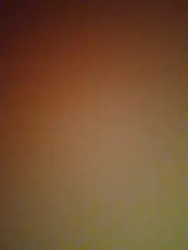 mendelicius online show from 27, 2, 2025