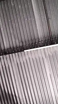 Snapshot of mendelicius chatting on 11, 2, 2026 mendelicius online show from 11, 2, 2026