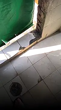 Snapshot of mendelicius chatting on 15, 2, 2026 mendelicius online show from 15, 2, 2026