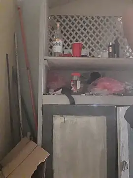 theDemente18 online show from 30, 11, 2025