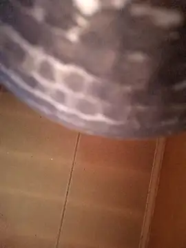 Snapshot of SashaahXXX chatting on 12, 2, 2026 SashaahXXX online show from 12, 2, 2026