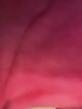 Snapshot of izanmiller2001 chatting on 8, 10, 2025 izanmiller2001 online show from 8, 10, 2025