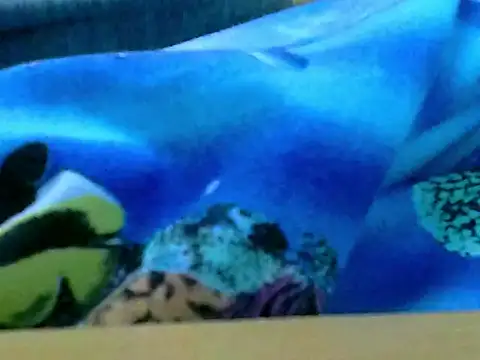 zhan7965 online show from 30, 12, 2024