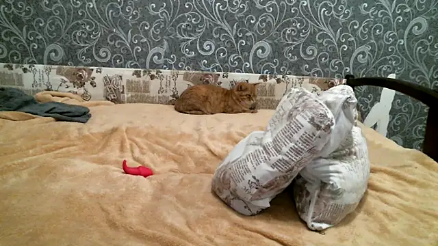 DennisXCaroll online show from 19, 2, 2025