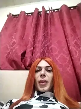 Snapshot of Transthifany chatting on 11, 5, 2026 Transthifany online show from 11, 5, 2026