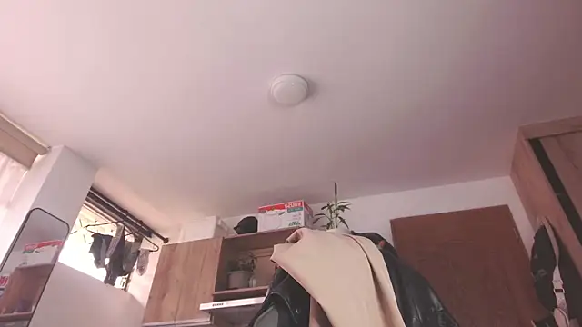 Cutie Shy  online show from 21, 5, 2026