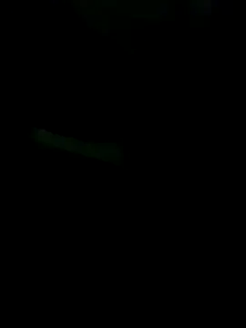 gurilove online show from 16, 11, 2025