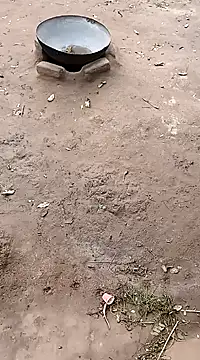 Snapshot of hairipussy2 chatting on 20, 2, 2025 hairipussy2 online show from 20, 2, 2025