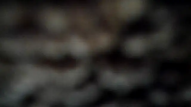 Snapshot of leatherz69 chatting on 7, 3, 2025 leatherz69 online show from 7, 3, 2025