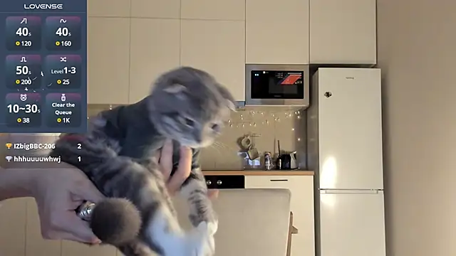 Snapshot of fairy_di chatting on 23, 12, 2024 fairy di online show from 23, 12, 2024