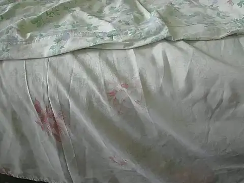 Tiger202441 online show from 31, 12, 2024