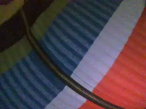 Snapshot of RoxiRedXXX chatting on 18, 2, 2025 RoxiRedXXX online show from 18, 2, 2025