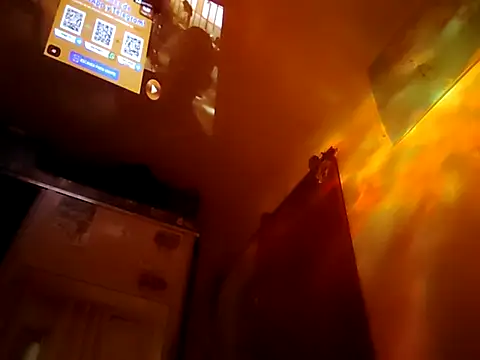 Binhosex2024 online show from 19, 3, 2025