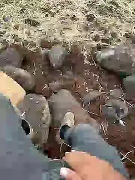 Snapshot of murokkk31 chatting on 11, 12, 2024 murokkk31 online show from 11, 12, 2024