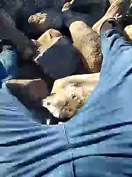 Snapshot of murokkk31 chatting on 10, 1, 2025 murokkk31 online show from 10, 1, 2025