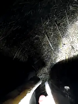 Snapshot of murokkk31 chatting on 16, 9, 2025 murokkk31 online show from 16, 9, 2025