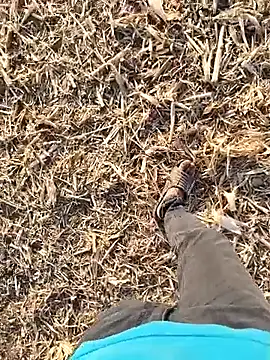 Snapshot of murokkk31 chatting on 30, 9, 2025 murokkk31 online show from 30, 9, 2025