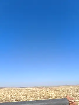 Snapshot of murokkk31 chatting on 18, 10, 2025 murokkk31 online show from 18, 10, 2025