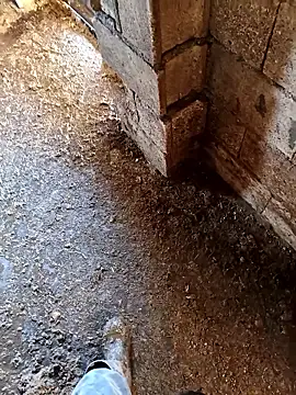 murokkk31 online show from 14, 1, 2026