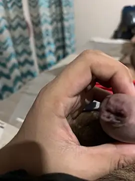 thecockybouy online show from 1, 3, 2025