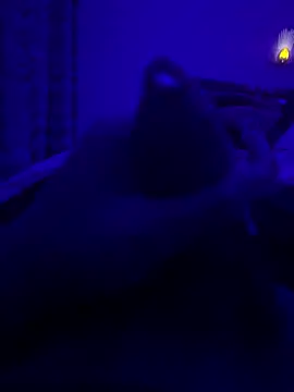 thecockybouy online show from 2, 3, 2025