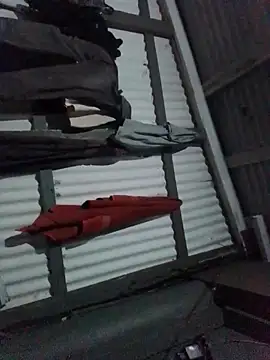 Algenis1232 online show from 4, 11, 2025