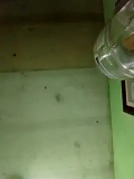 Alonsomadeira online show from 17, 12, 2025